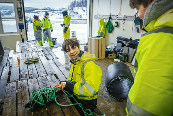 Fleire opplever mobbing
