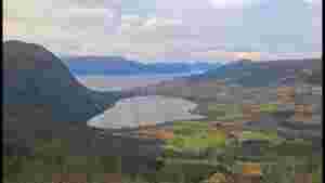 Rotevatn i springen?