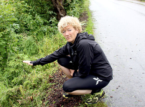 Kommunen avviser skamklipping av hekk