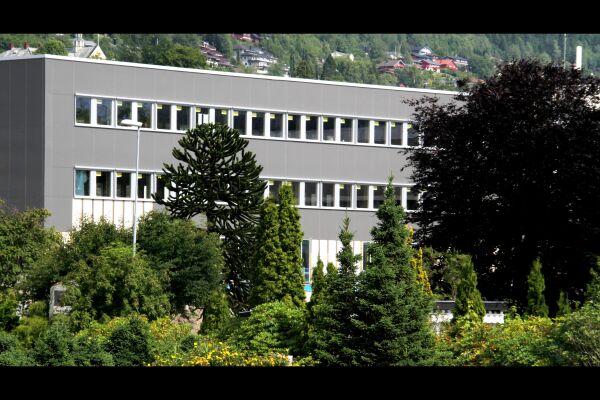 Moltudal vert ny rådgjevar i Volda