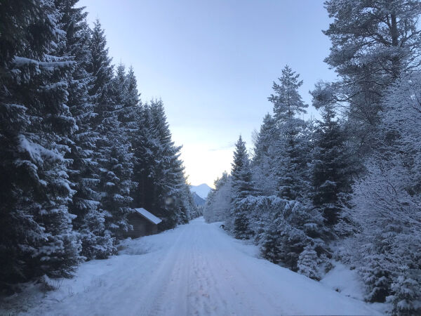 - Kan ikkje vere prisgitt grunneigarane si godvilje