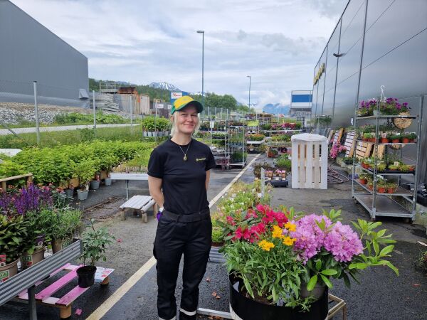 Stor etterspurnad etter hageblomar