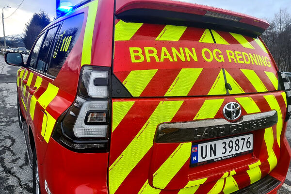 Redda hjorten, bilen i autovernet