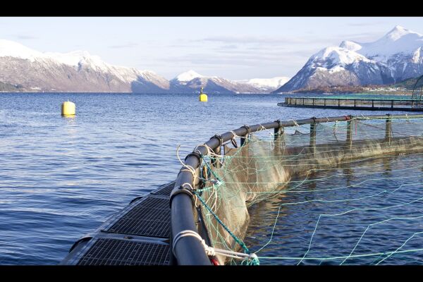 Stort potensial for biogass i Dalsfjorden