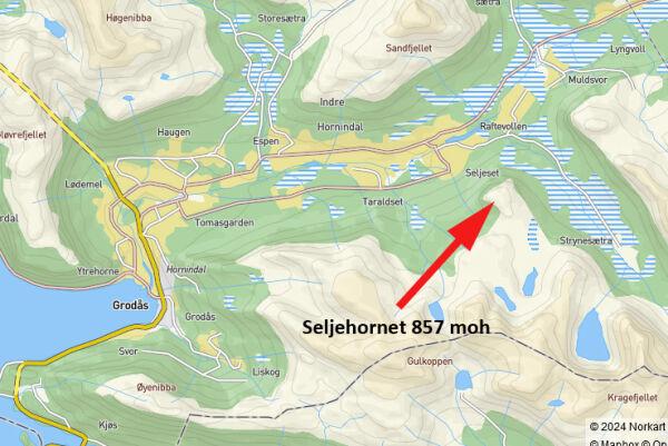 Må bergast ned frå fjellet