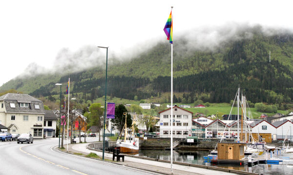 Difor var det ikkje norske flagg i Hamnegata