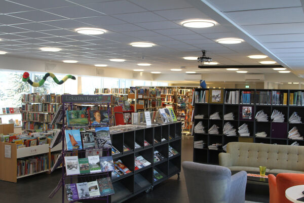Spelfinale på biblioteket