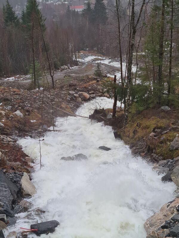 – Grunn til å feire