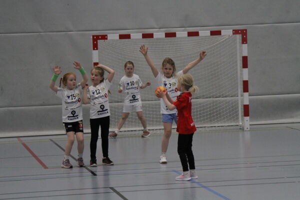 Handballfest i Ørstahallen