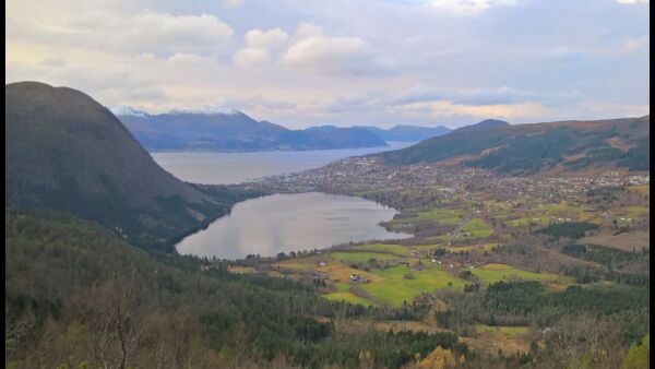 Rotevatn i springen?