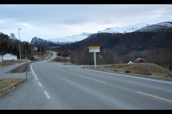 Tok opp trafikktrygging