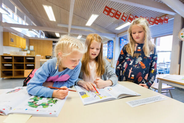 No er dei fysiske bøkene tilbake i skulen