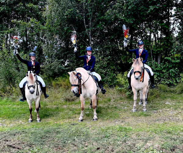 Gull og bronse til Volda