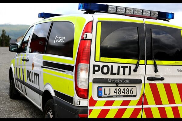 Hestar i vegen
