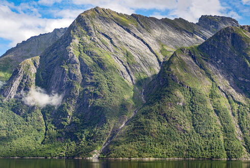 Vernar skog i Ørsta