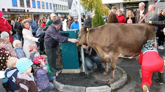 Levande om Sivert Aarflot og landbruket