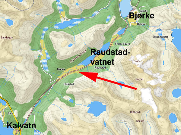 Naudetatane og helikopter rykte ut til Skjåstadalen