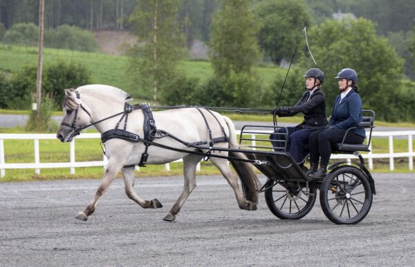 NM-bronse til Volda-ryttar